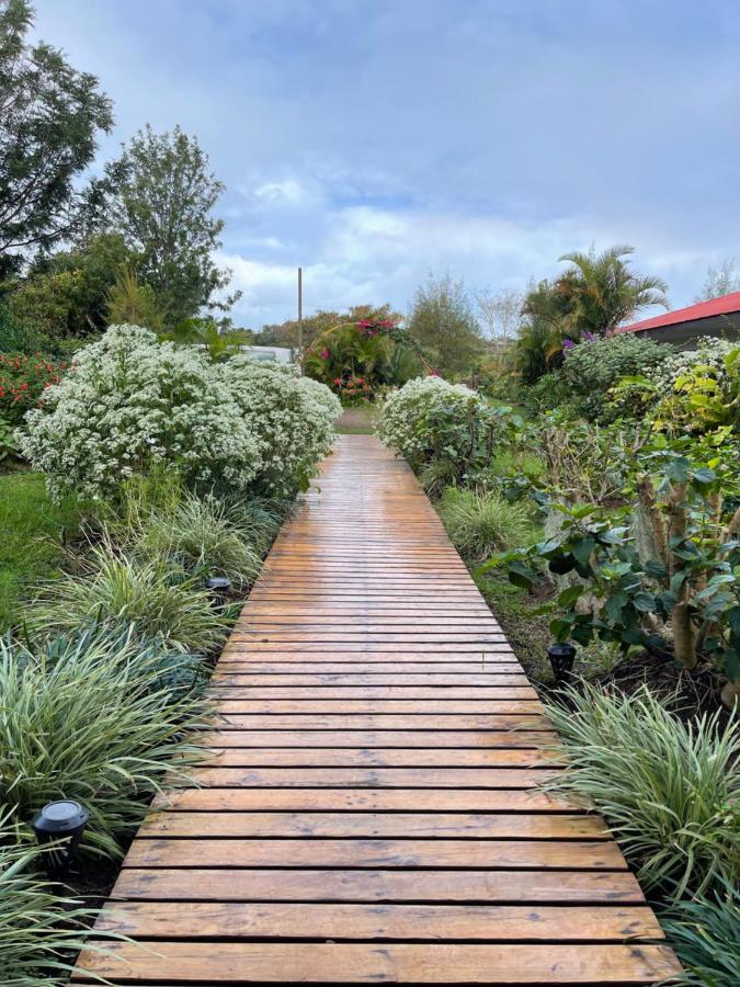 Teanehi Bed & Breakfast Hanga Roa Exterior photo